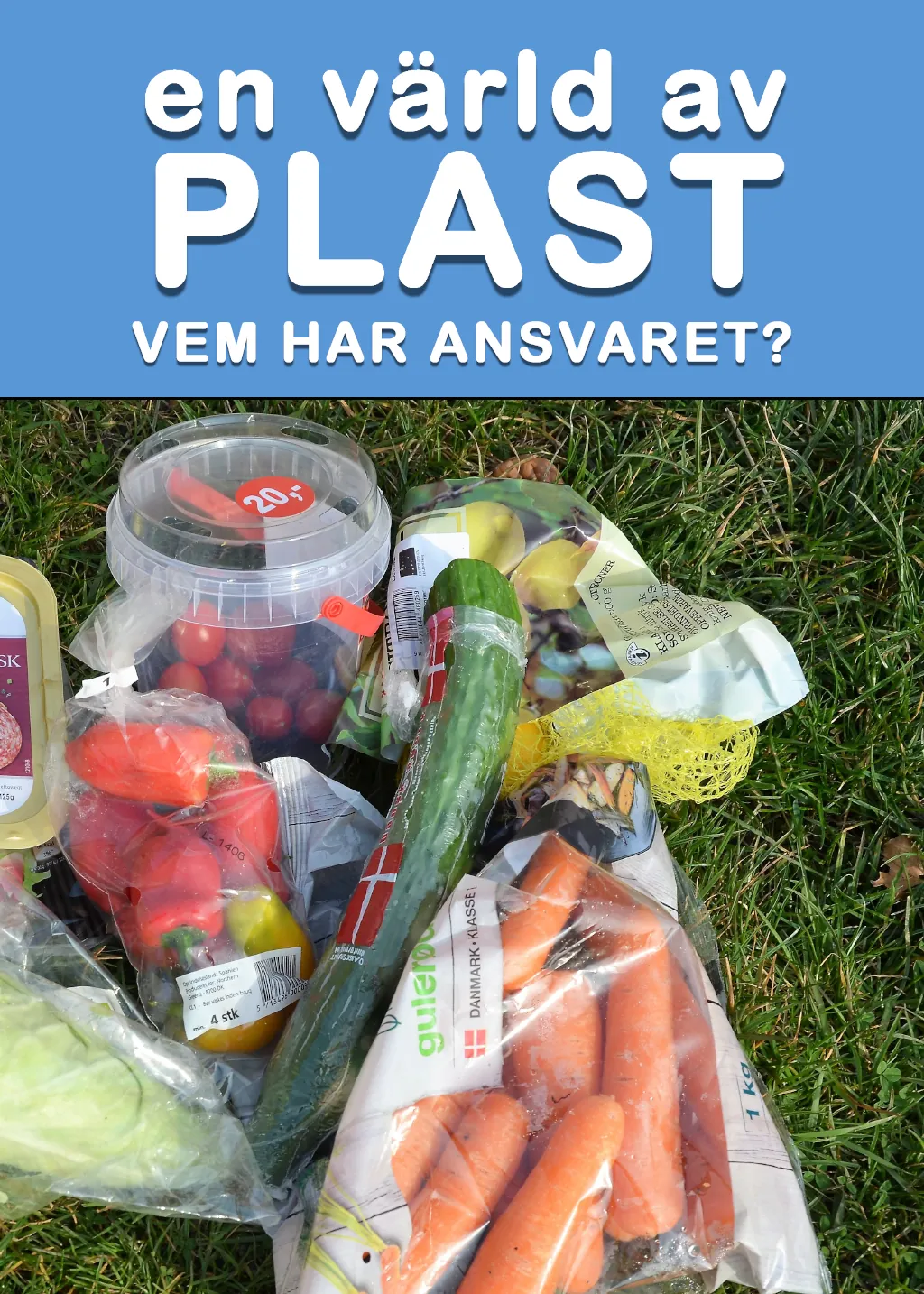 En värld av plast – Vem har ansvaret?